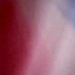 ���� ��� �������� �������