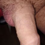 ���������� ����������