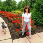 �������, ������� 52 ����