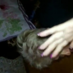 ������� � ��� � �������� � �����