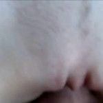 ������� ���� �� �����