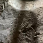 ������� ����������