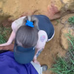 � �������� �������