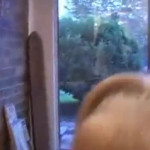 ������ �������� ��������