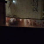 ���� � � ������ ������ � ����.