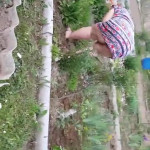 ���� ����, ��� ��������