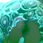 ���� ���������, ��������� �����