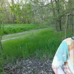 �������� ���������� � ������