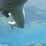 ������ �� ����