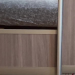 ���� ����� ��������
