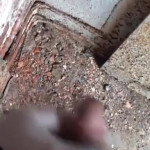 ������ �� �����