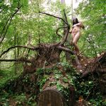 ������ ������� � ����