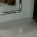 ��������� �����.