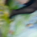 �������� �� ������� �����������