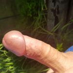 ���� ����� �����