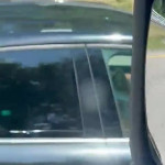 ��������� �� ������