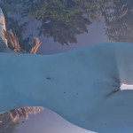 ���������� � ��������