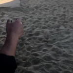 ����� �������