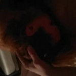 �������� �����