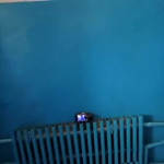 �������� � ��������