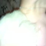 ������ ������� ���