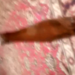 �������� ������