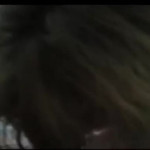 ������ ������� ����