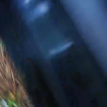 � ���� �� �������