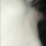 ����� � ��������