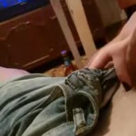 ������ ���� �����