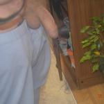 ��� ������� �����