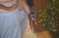 ��� ������� �����