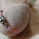 ����� ����� �����.