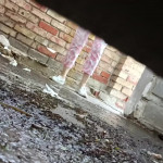 ������� ������ � �������.