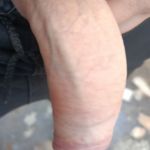 �������� ������.