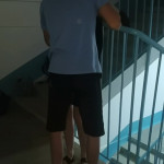 ������� � ��������