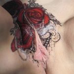 ������������ �������� �����