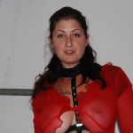 ���� ������ ����