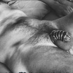 ������� ���� ��������