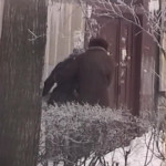 ������ ����������-2