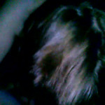 ����� ����������