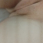 ������ ���� ���������