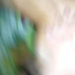 ������ �� �����������