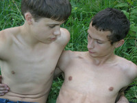 ��������� ���� ������������ �� �������