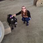 ������ ������������� ���� ������� ��������