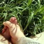 ������ �� �������