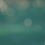 ���� �� ������-24.