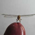 � ���� ��������