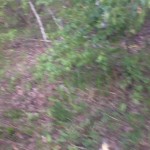 ������� �� �������